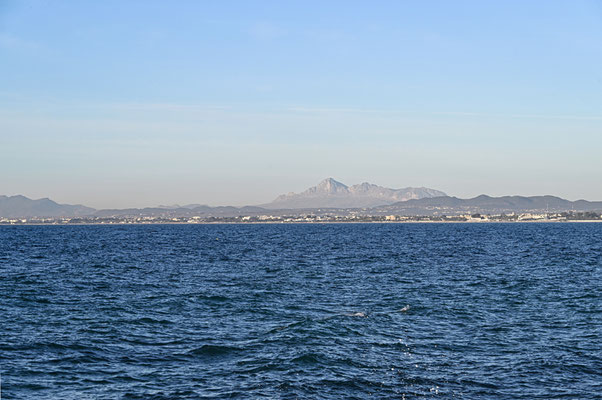 Hammamet, Promenade