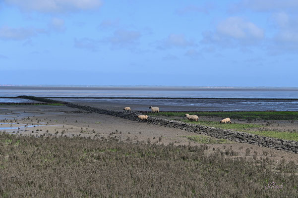 Küstenlandschaft