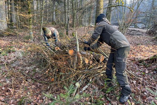 Auch um den Trübelbachweiher und im Wald wurden Asthaufen geschichtet. Hier könnte der Iltis Nutzniesser sein. © Manfred Steffen