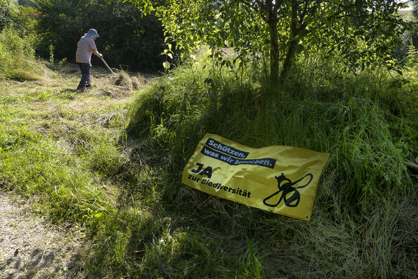 Schutzgebiete und Biodiversitätsförderflächen sind zu bewirtschaften bzw. zu pflegen. Der Aufwand, die Arten darin zu erhalten, wird immer grösser, z.B. weil der Eintrag von Ammoniak über die Luft die Gebiete zu wüchsig macht. © Manfred Steffen