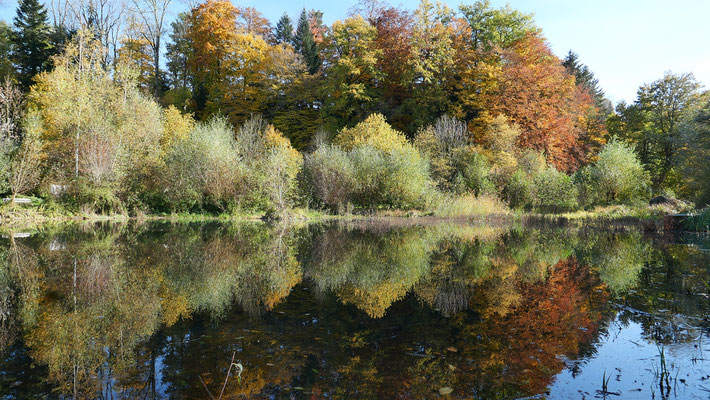 Die Naturperle Äschweiher bei St. Urban konnte nur gebaut werden, weil im 2004 noch keine Fruchtfolgeflächenkompensation verlangt wurde.