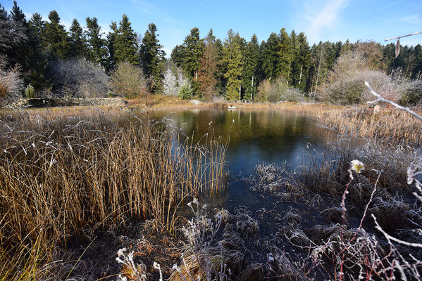 Der Grüenbodeweiher bei Pfaffnau zählt auch zu den Landschaftsperlen, die ohne Kompensation nicht mehr gebaut werden könnten.