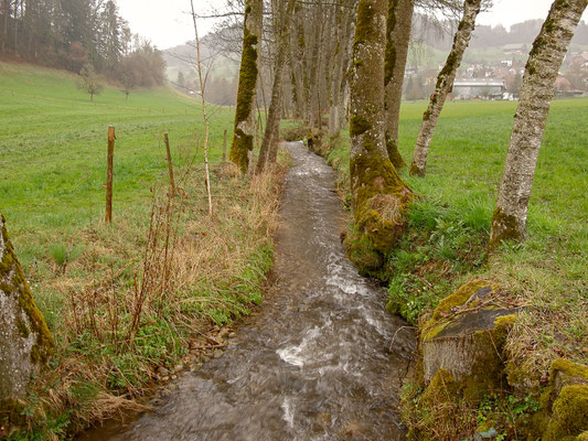 Partnersuche im rottal