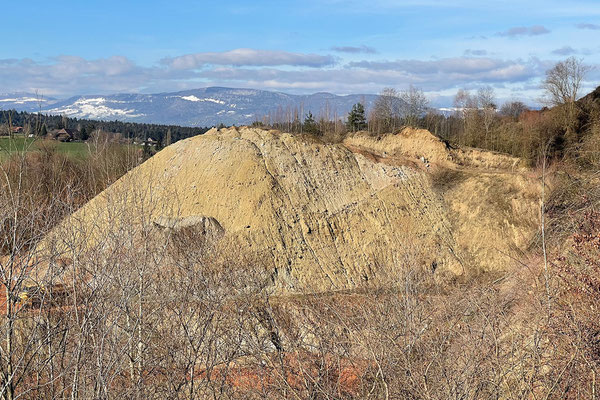 Beim Lehmabbau in der Molasse fällt viel Sand an und wird in einer Ecke der Grube von der Sohle her auf einer Fläche von 2 ha  auf über 50 m aufgetürmt ...