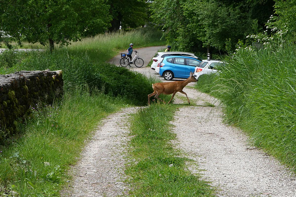 Immer wieder lassen sich bei den Einsätzen wundervolle Naturbeobachtungen machen. © Manfred Steffen
