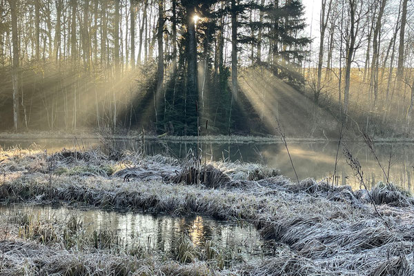 Wunderbare Stimmungen am Trübelbachweiher während des Einsatzes ... © Manfred Steffen