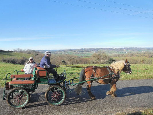 Trait-Lourd Calèches Horse-drawn carriage rides Aubous (Vic-Bilh / Madiran)