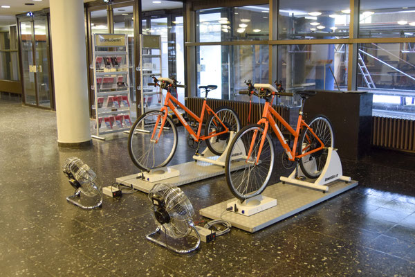 2x UmweltBike 1.0