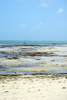 Plage à Zanzibar