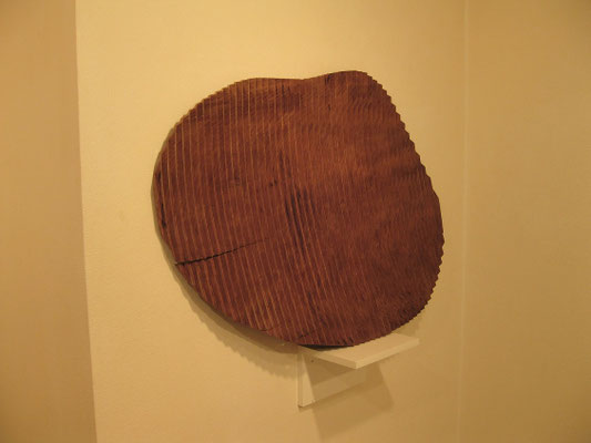 ポテトチップ 2012