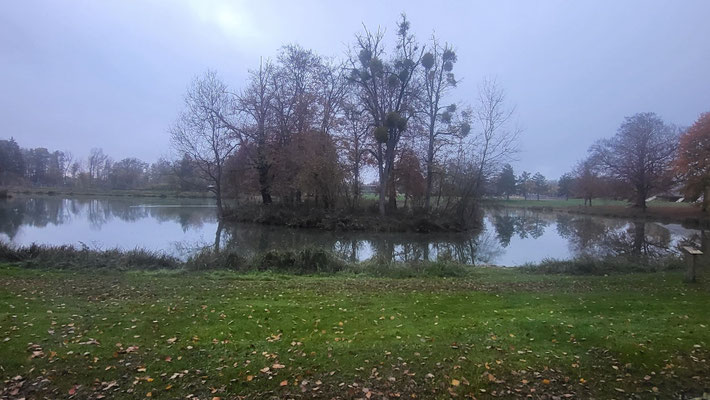 Stellplatz direkt am See
