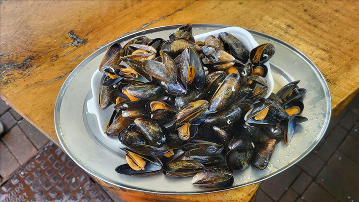 Muscheln am Hafen im Freien