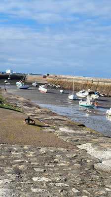 Ebbe