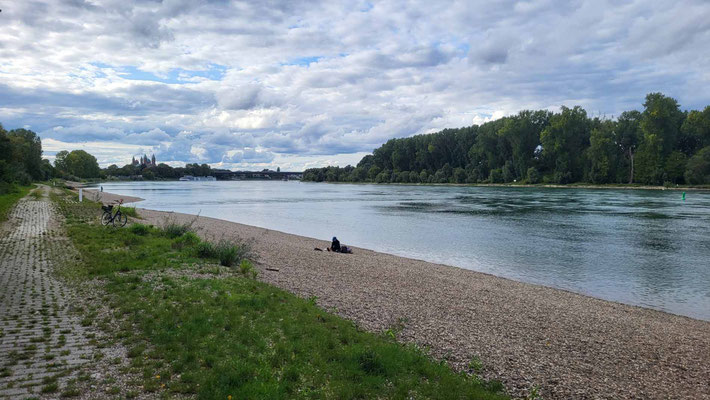 Rhein