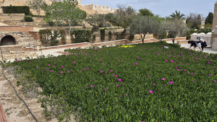 Garten in der Alcazaba