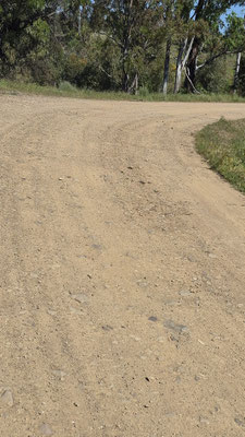 Rollerpiste