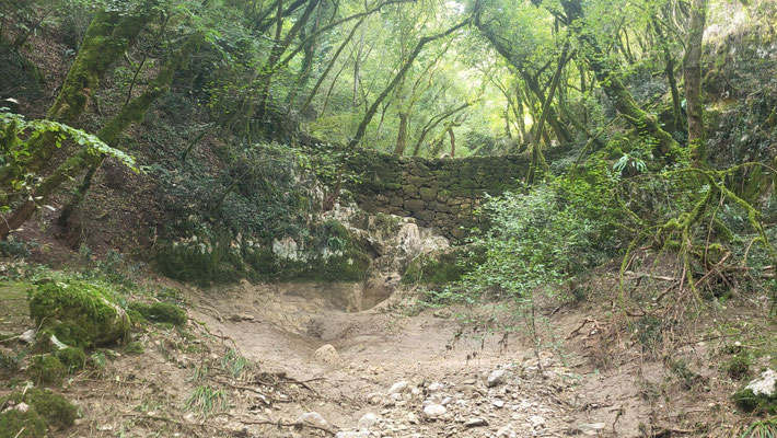 fast wie im Urwald, Schlucht