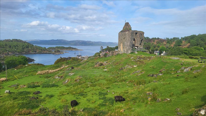 Castle Tarbert