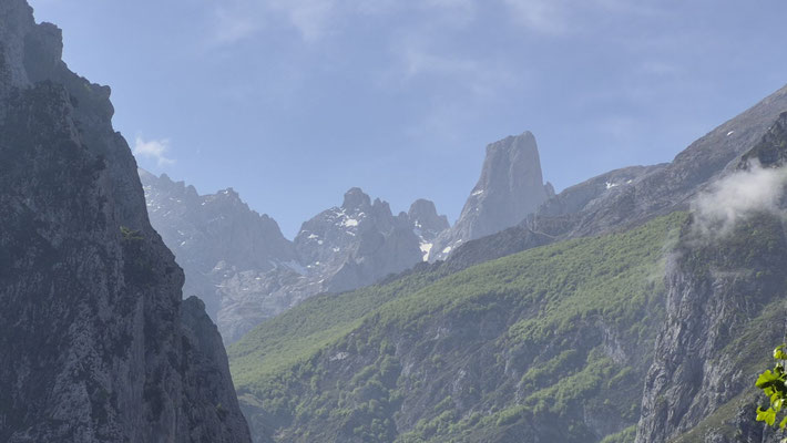 picos de Europa