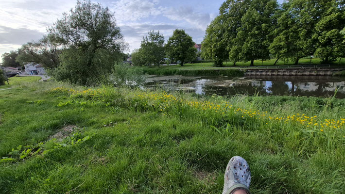 letzter Stellplatz