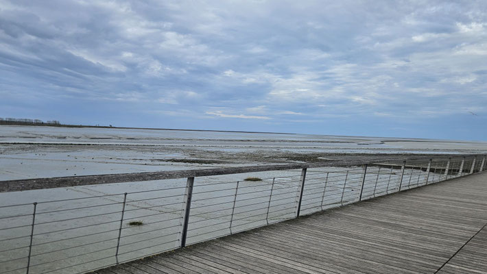 Ebbe