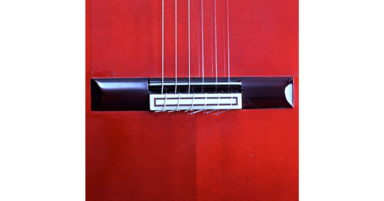 Hermanos Conde - Sobrinos de Esteso - 1996 - Guitar 1 - Photo 8