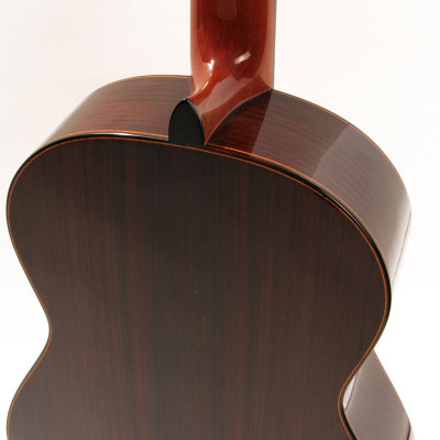 Lester Devoe 2016 - Guitar 2 - Photo 8