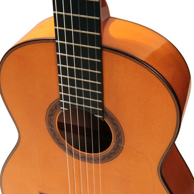 Jose Lopez Bellido 2014 - Guitar 1 - Photo 4