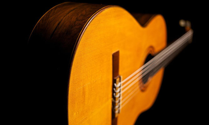 Santos Hernandez 1930 - Guitar 2 - Photo 11