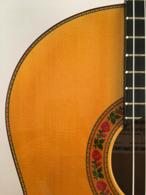 Francisco Barba 2016 - Guitar 1 - Photo 23