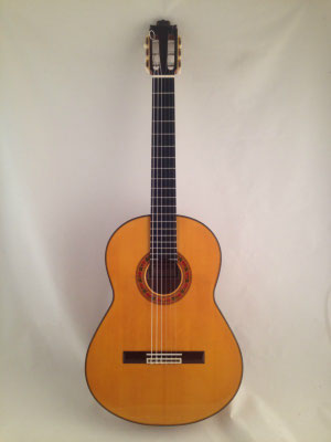 Francisco Barba 2015 - Guitar 2 - Photo 20
