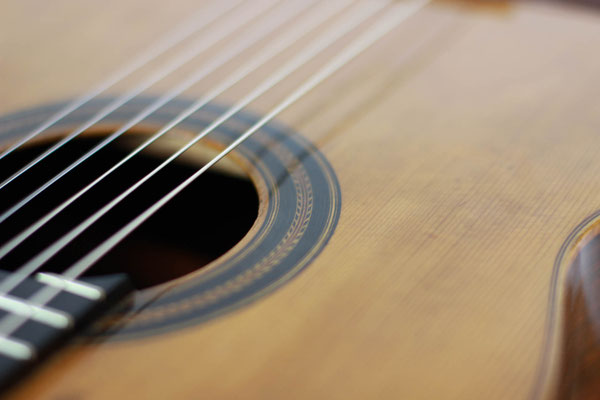 Santos Hernandez 1925 - Guitar 1 - Photo 10