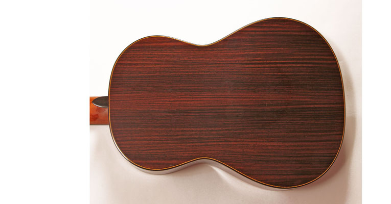 Lester Devoe 2014 - Guitar 2 - Photo 2