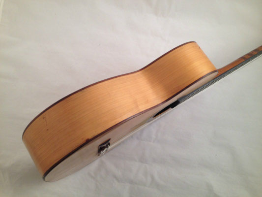 Santos Hernandez 1930 - Guitar 1 - Photo 16