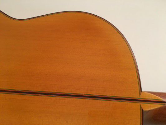 Francisco Barba 2016 - Guitar 1 - Photo 13