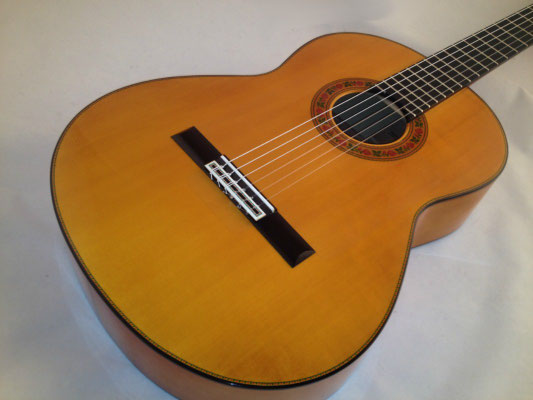 Francisco Barba 2015 - Guitar 1 - Photo 5