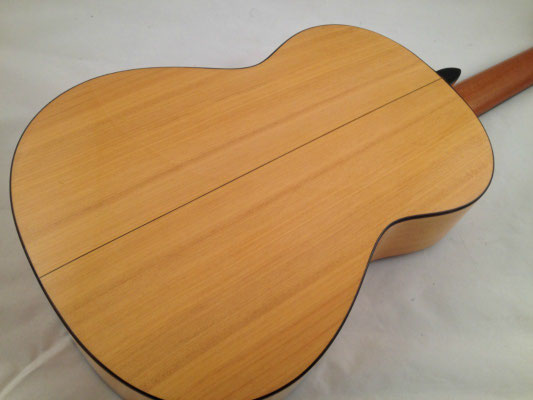 Lester Devoe 2007  - Guitar 3 - Photo 12