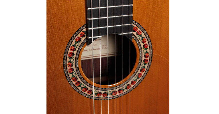 Lester Devoe 2011 - Guitar 3 - Photo 5