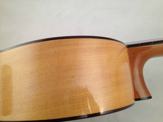 Lester Devoe 2007  - Guitar 3 - Photo 11