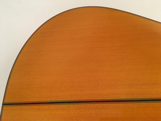 Francisco Barba 2016 - Guitar 1 - Photo 15