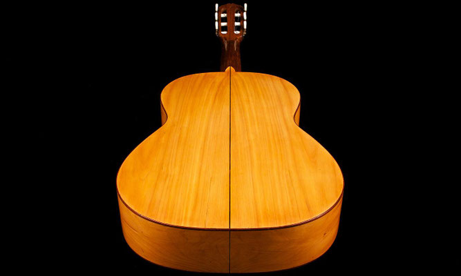 Santos Hernandez 1919 - Guitar 1 - Photo 8