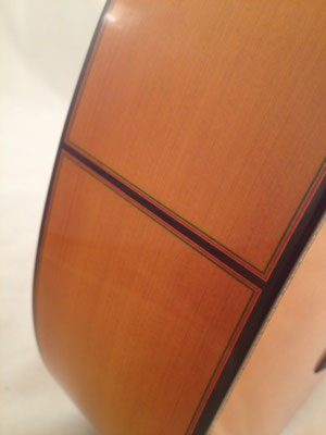 Francisco Barba 2015 - Guitar 1 - Photo 14