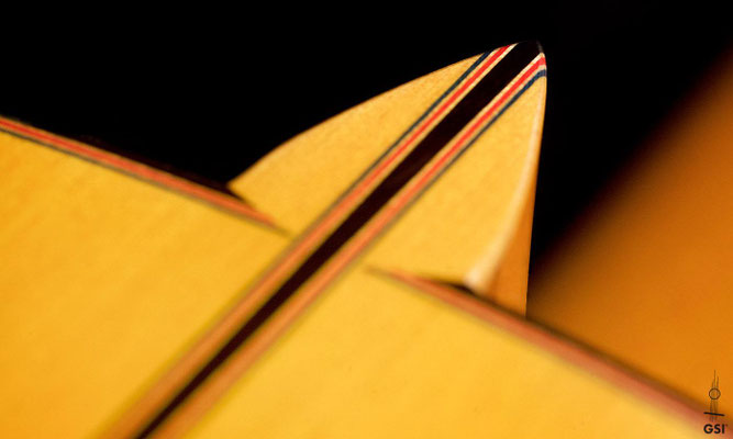 Francisco Barba 2017 - Guitar 5 - Photo 7