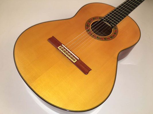 Francisco Barba 2016 - Guitar 3 - Photo 5