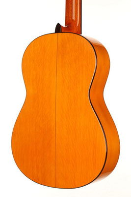 Lester Devoe 2014 - Guitar 3 - Photo 23