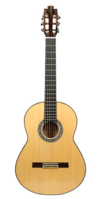 Francisco Barba 2016 - Guitar 5 - Photo 13
