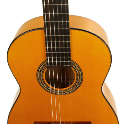 Lester Devoe 2018 - Guitar 1 - Photo 5