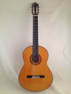 Francisco Barba 2015 - Guitar 1 - Photo 20