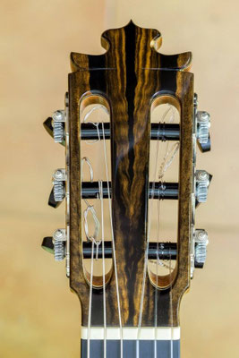 Francisco Barba 2014 - Guitar 1 - Photo 21