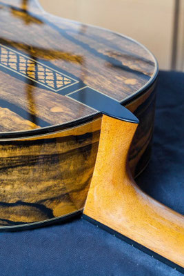 Francisco Barba 2014 - Guitar 1 - Photo 18